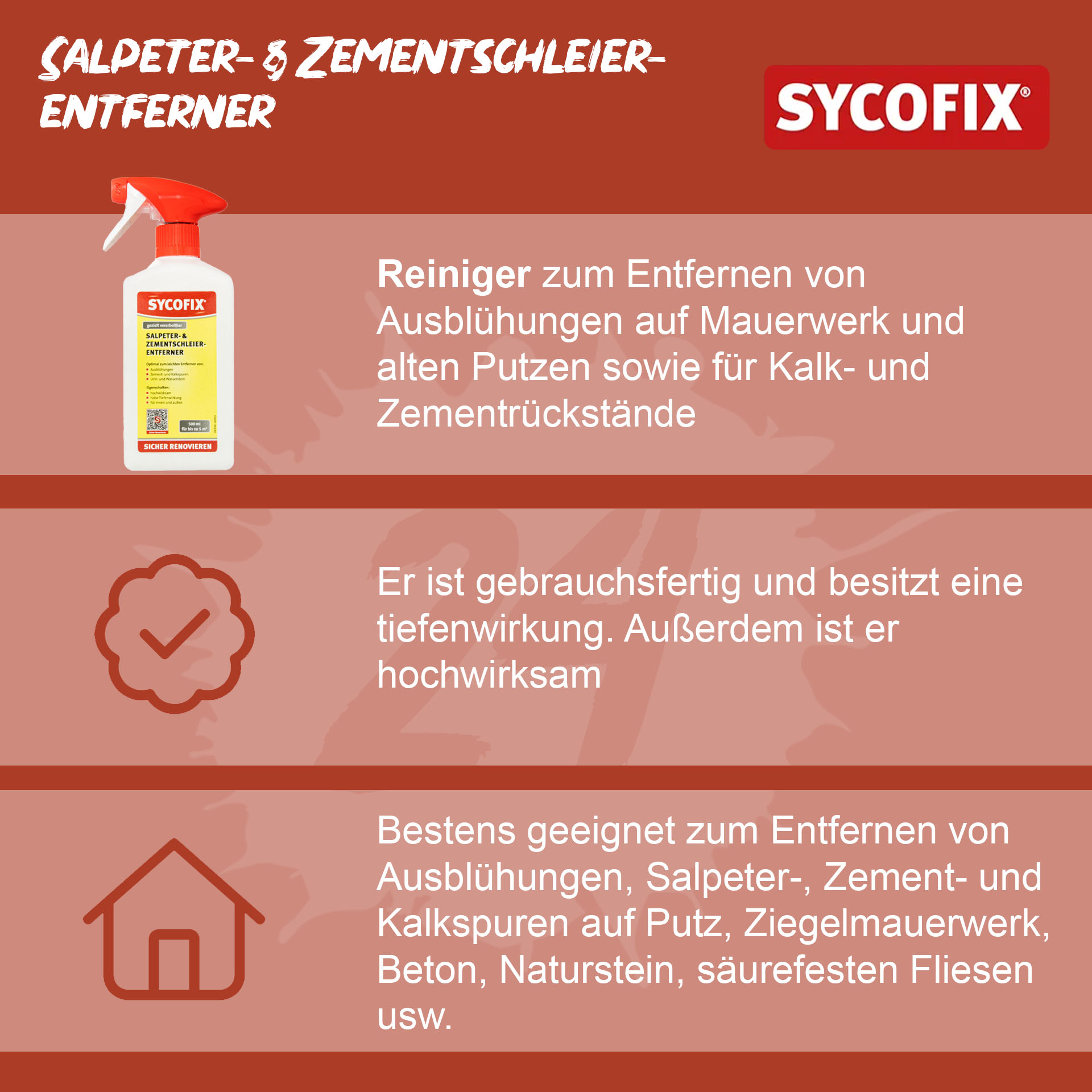 salpeter-und-zementschleierentferner