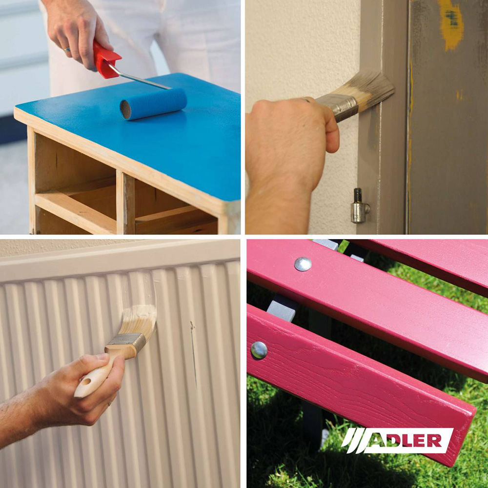 adler_varicolor_vorschau