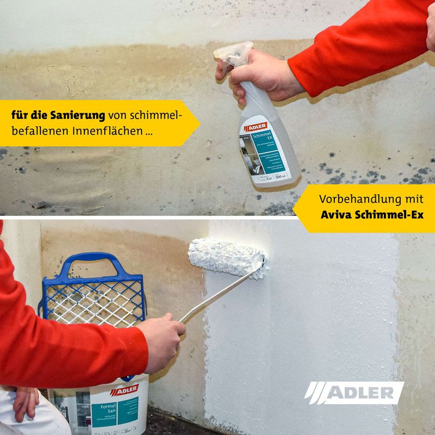 aviva-formel-san-vorschau