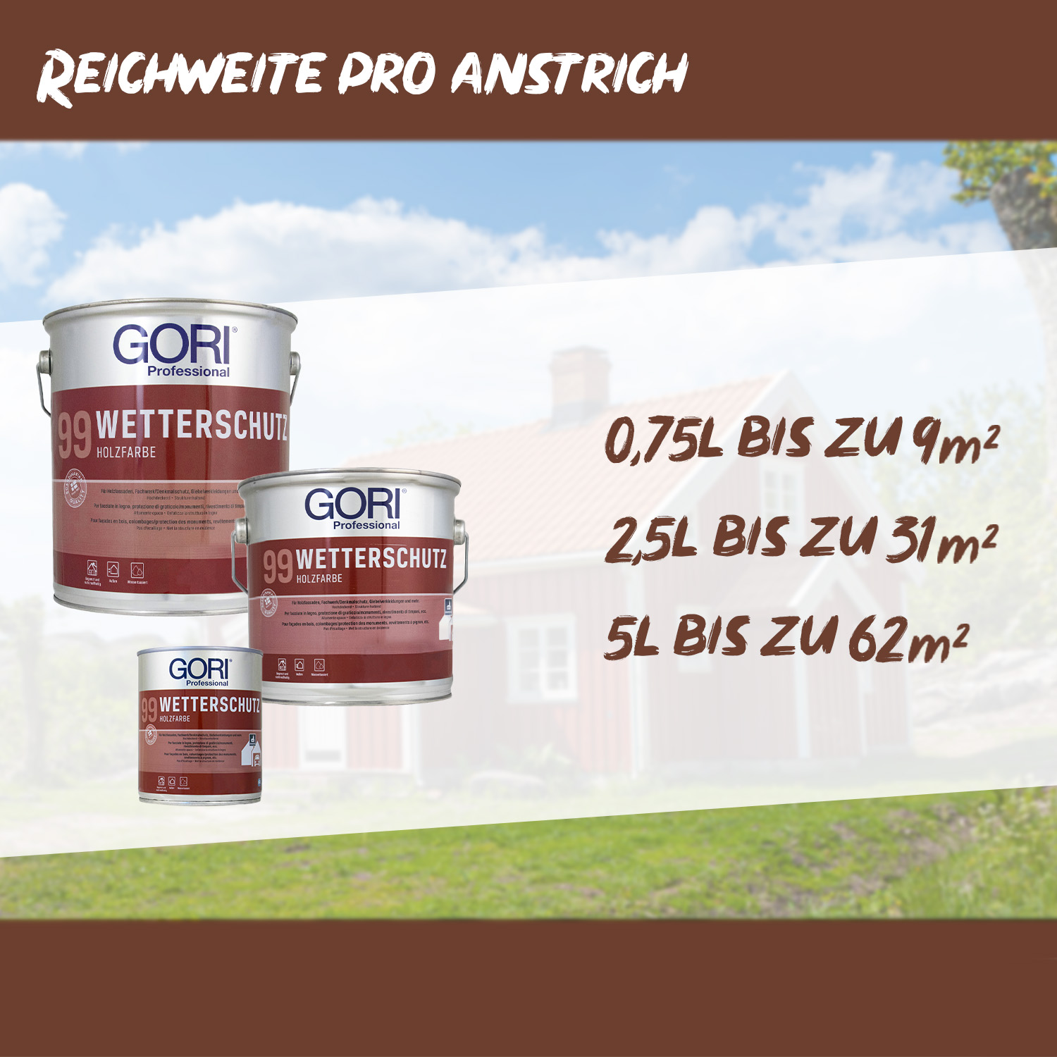 gori-99_reichweite